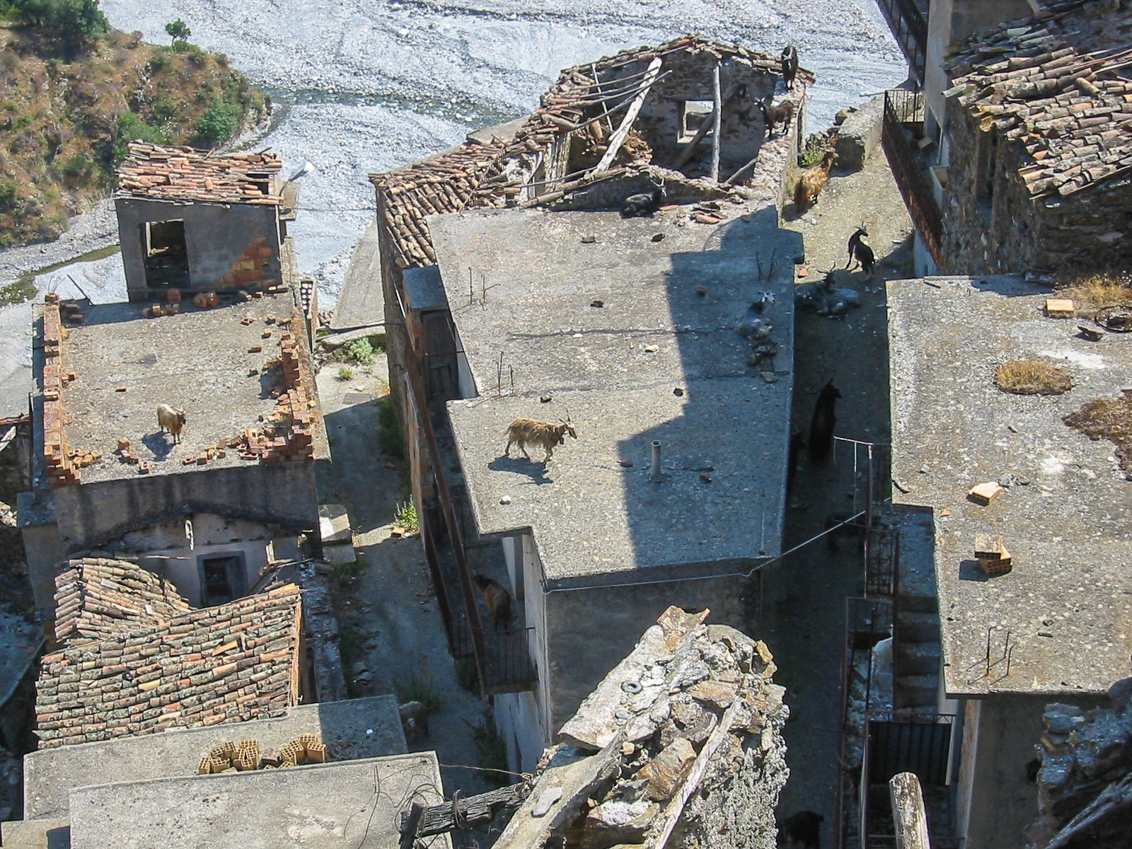 Village of Roghudi vecchio in Calabria, Italy, abandoned except for a man and his father, their dog and some goats.